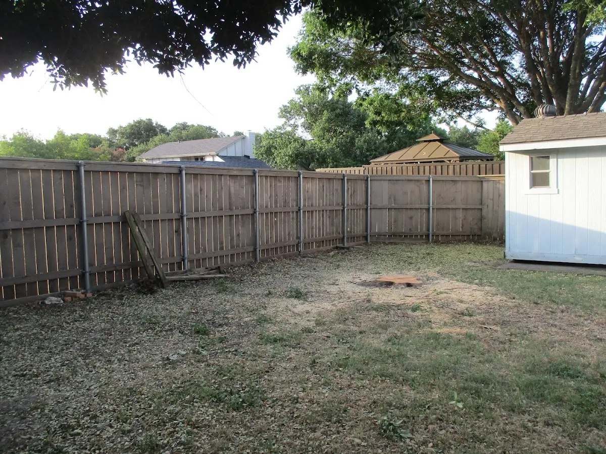 Cleared yard after professional tree removal in Frankewing